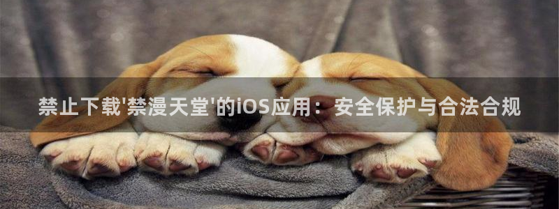 腐漫画网网官网入口