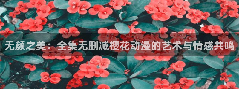 managereader漫画官网入口