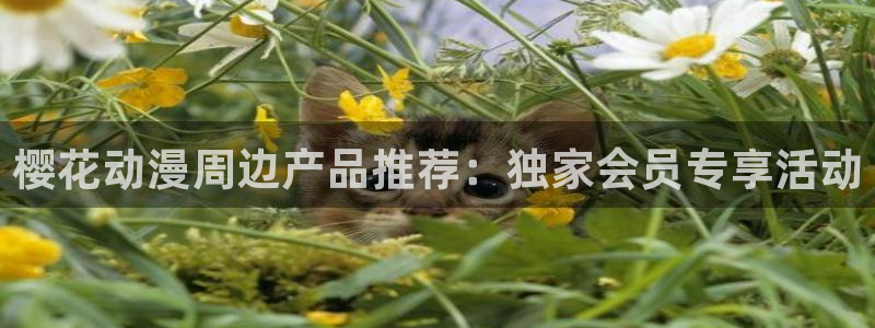 腐漫画网网上看