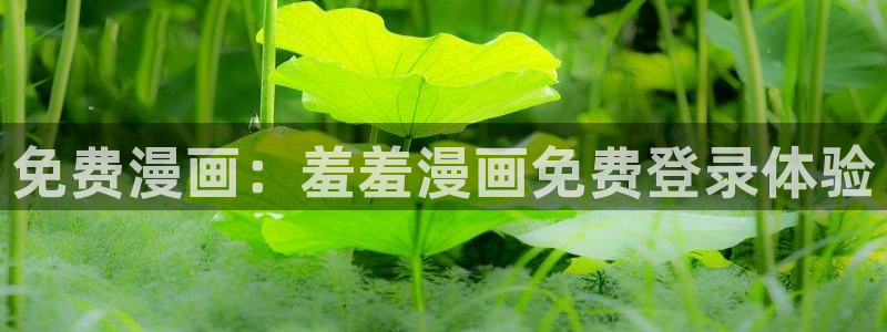 腐漫画网官网版入口