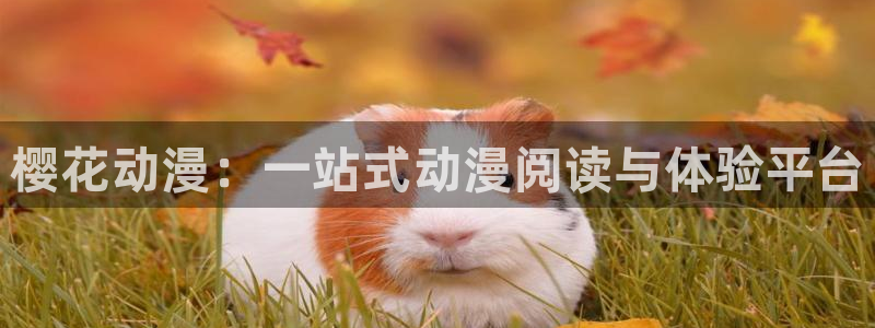 腐漫画网官网在线入口