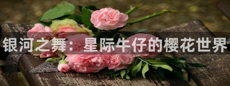 age专注动漫的门户网站