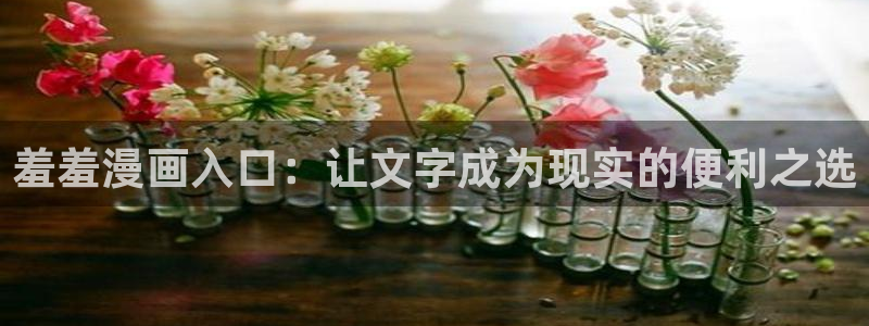腐漫画网网官网入口