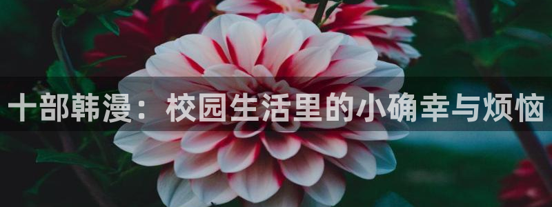 colomanage漫画官网