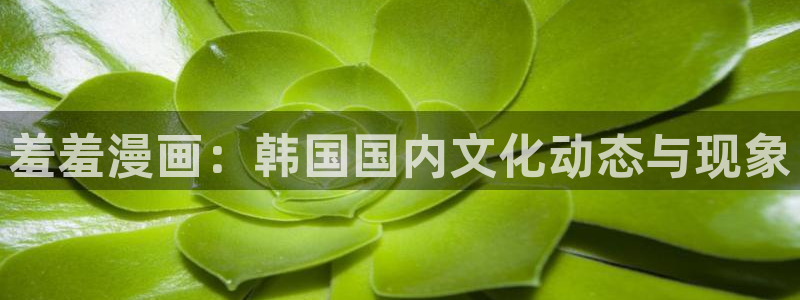 腐漫画网官网入口老版本