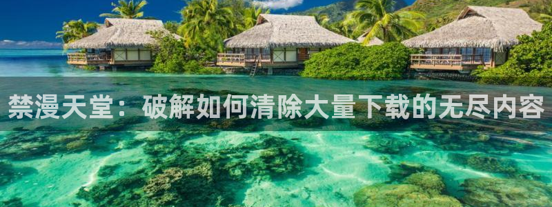 腐漫画网下载网：禁漫天堂：破解如何清除大量下载的无尽内容